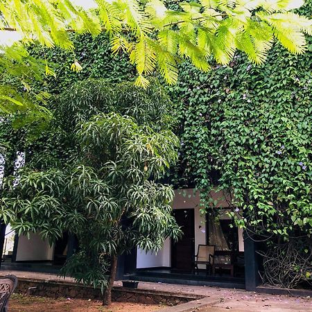 Dambulla Rock Arch Bed and Breakfast Εξωτερικό φωτογραφία
