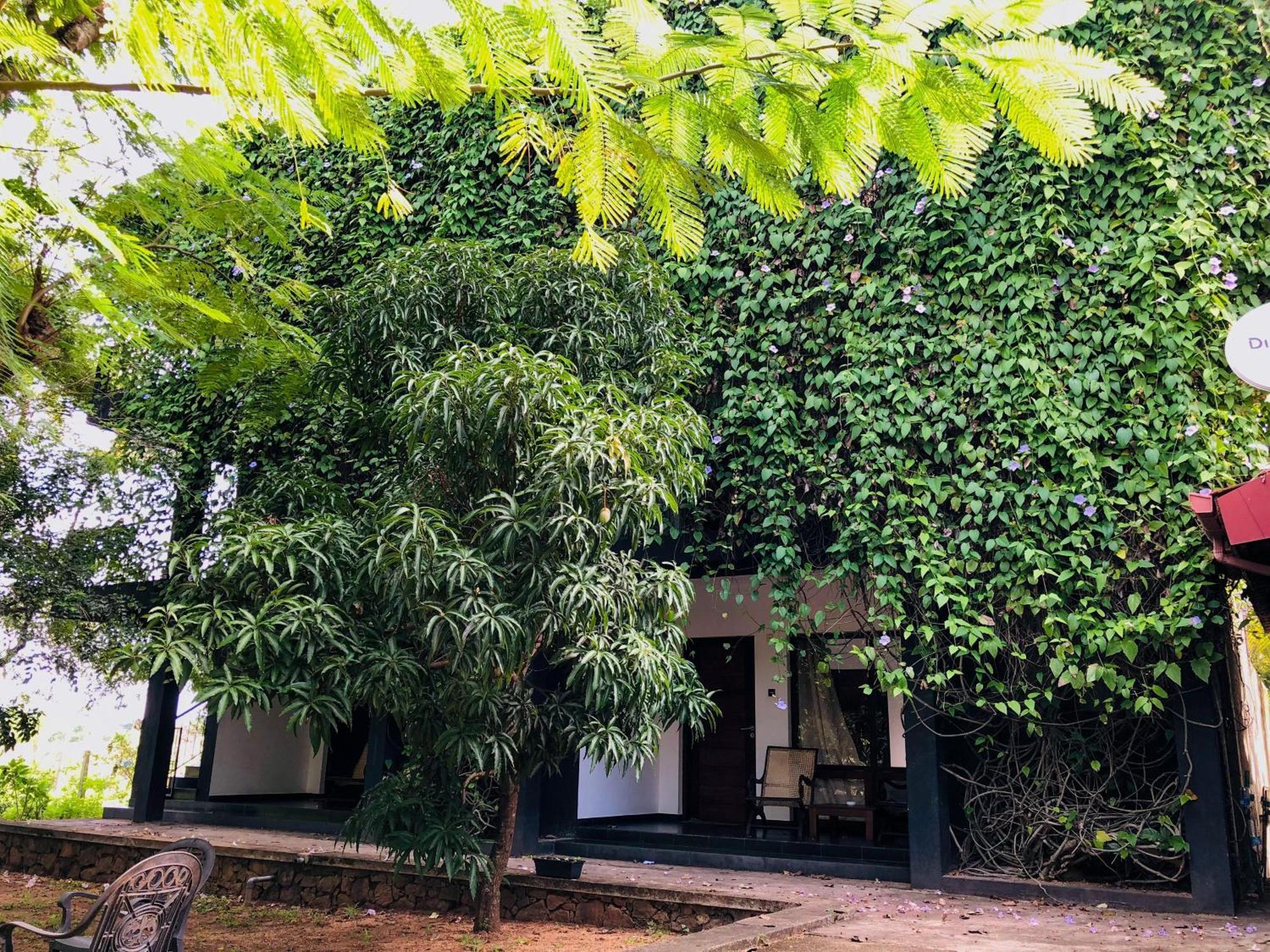 Dambulla Rock Arch Bed and Breakfast Εξωτερικό φωτογραφία