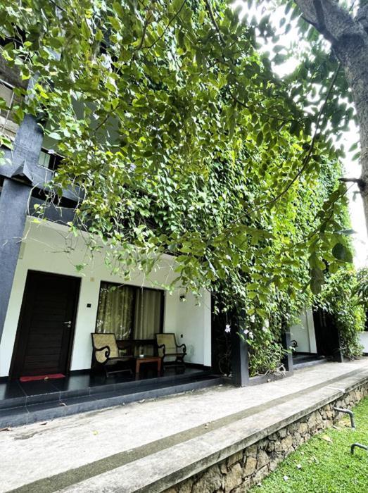Dambulla Rock Arch Bed and Breakfast Εξωτερικό φωτογραφία