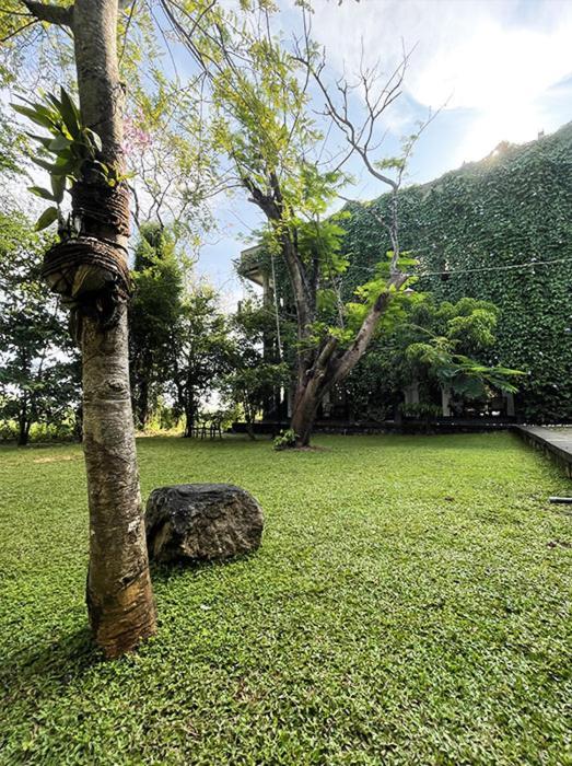 Dambulla Rock Arch Bed and Breakfast Εξωτερικό φωτογραφία